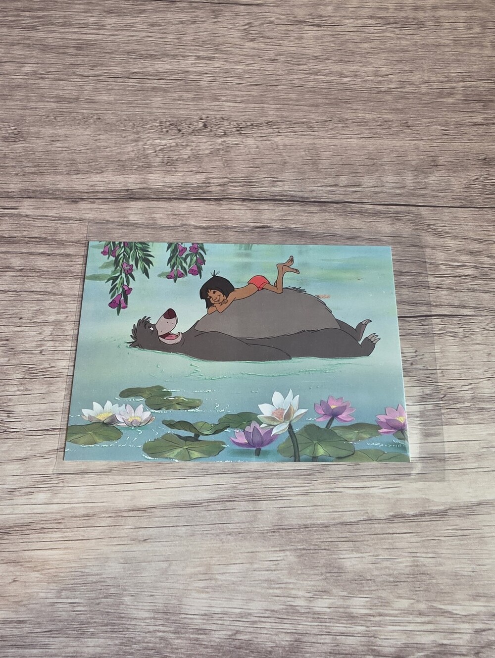 ✨️BUY 3 FOR $22 Baloo (With Mowgli), The Jungle Book, 1967 Postcard